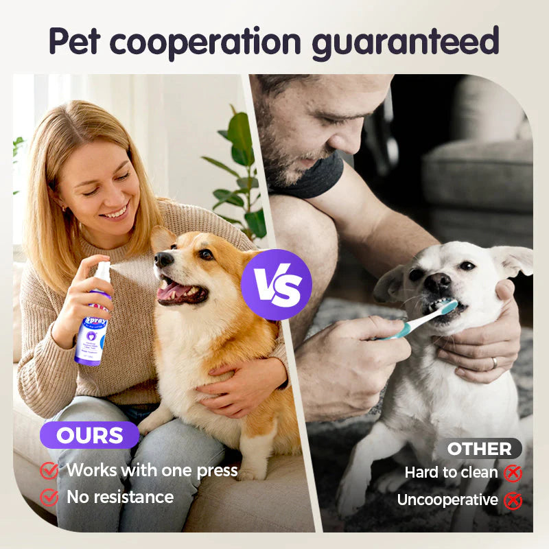 🔥Kupi jedan dobi jedan gratis🔥🐶🐱🦷 Sprej za Oralnu Njegu Ljubimaca – Svjež Dah Svaki Dan💥